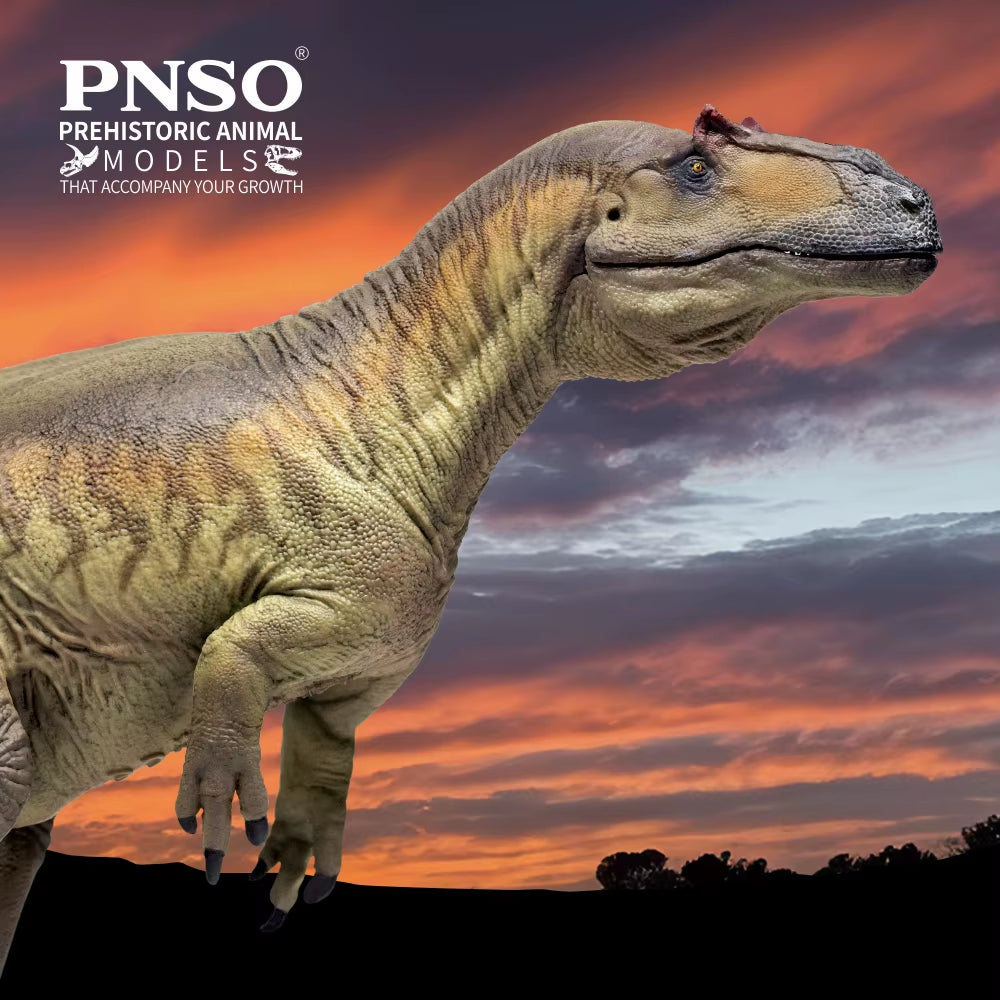 Prehistoric Dinosaur Models:75 Donald the Saurophaganax